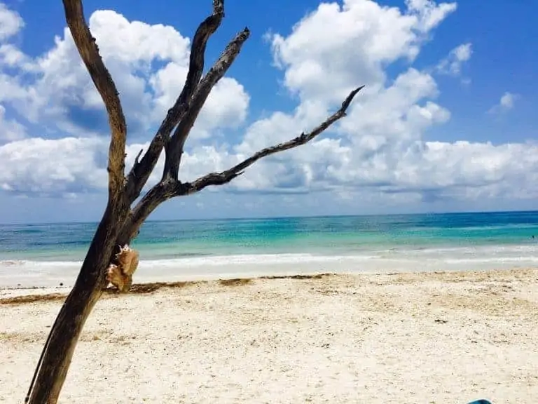 Things to Do in Tulum: The Best Self-Care Getaway