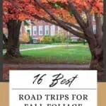 best road trips for fall foliage